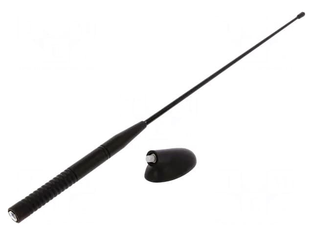 ant.47
